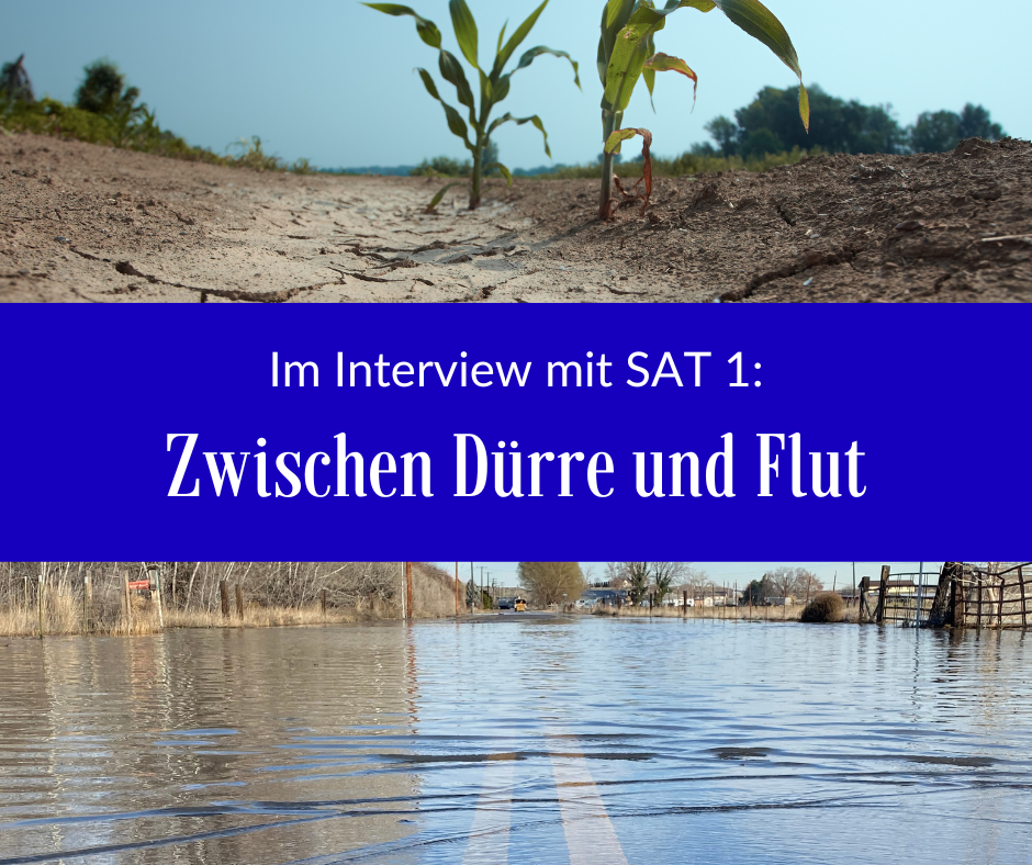 Read more about the article Zwischen Dürre und Flut